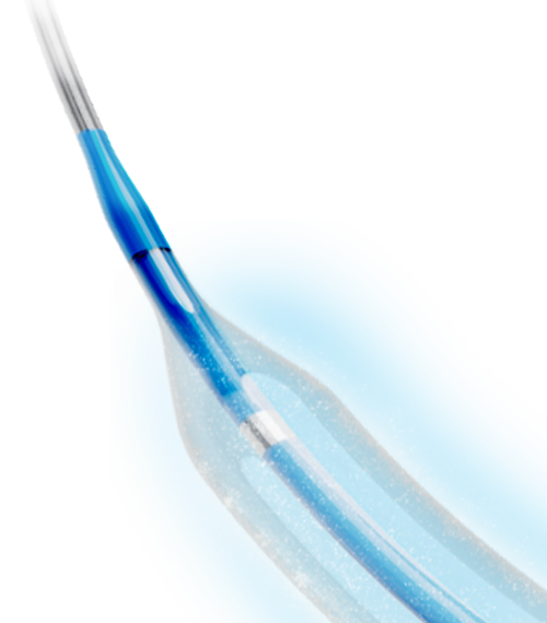 Drug Eluting PTCA Balloon Catheter